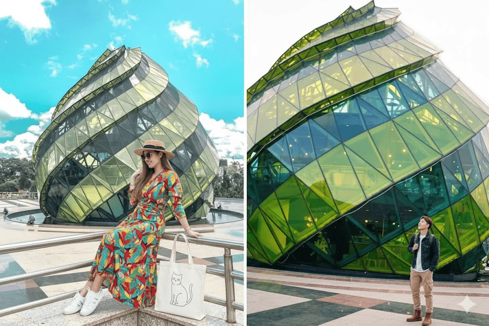 Chụp ảnh lấy góc từ dưới lên để lấy được toàn cảnh nụ hoa Atiso và một phần bầu trời